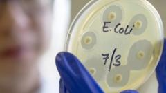 uk-e.-coli-outbreak-most-likely-linked-to-food-item