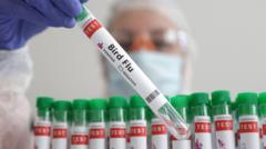 man-in-mexico-dies-with-first-human-case-of-h5n2-bird-flu