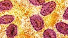 two-new-cases-of-more-spreadable-mpox-found-in-uk